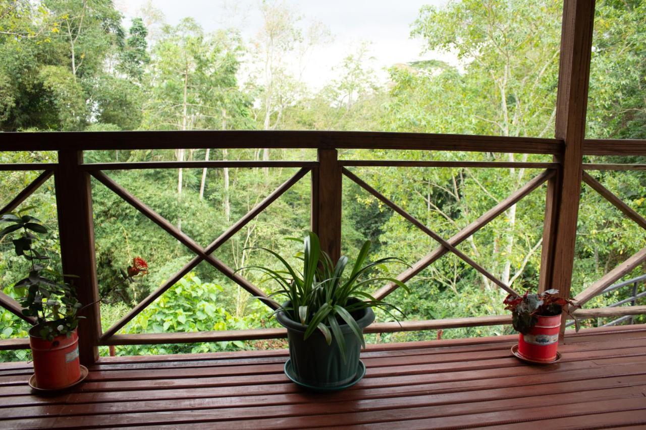 Eden Valley Ecolodge And Farming Madalena Экстерьер фото