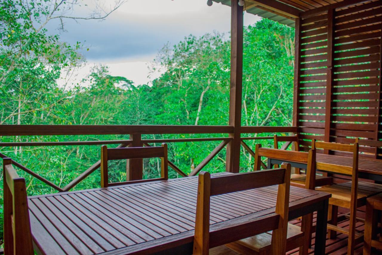 Eden Valley Ecolodge And Farming Madalena Экстерьер фото