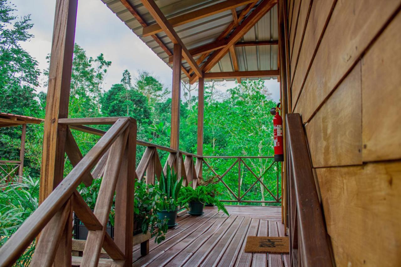 Eden Valley Ecolodge And Farming Madalena Экстерьер фото