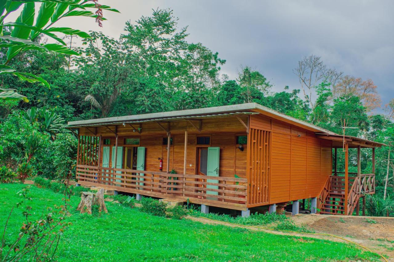 Eden Valley Ecolodge And Farming Madalena Экстерьер фото