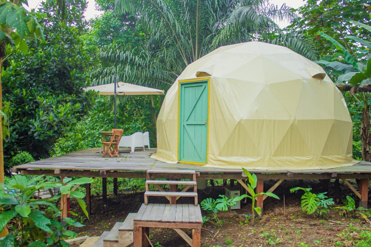 Eden Valley Ecolodge And Farming Madalena Экстерьер фото