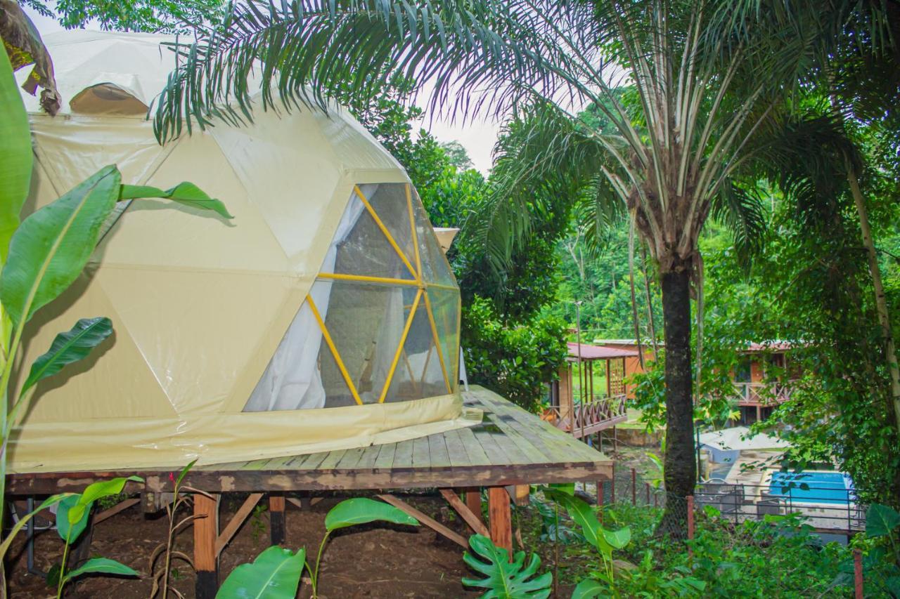 Eden Valley Ecolodge And Farming Madalena Экстерьер фото