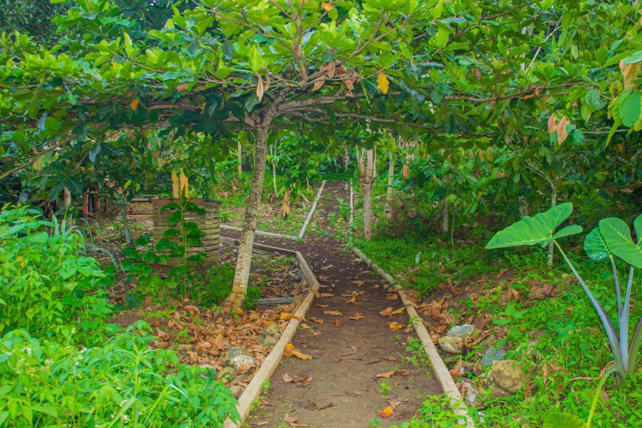 Eden Valley Ecolodge And Farming Madalena Экстерьер фото