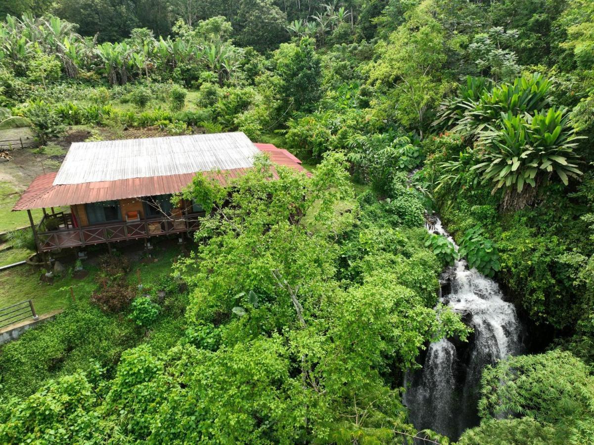 Eden Valley Ecolodge And Farming Madalena Экстерьер фото