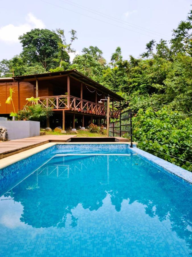 Eden Valley Ecolodge And Farming Madalena Экстерьер фото