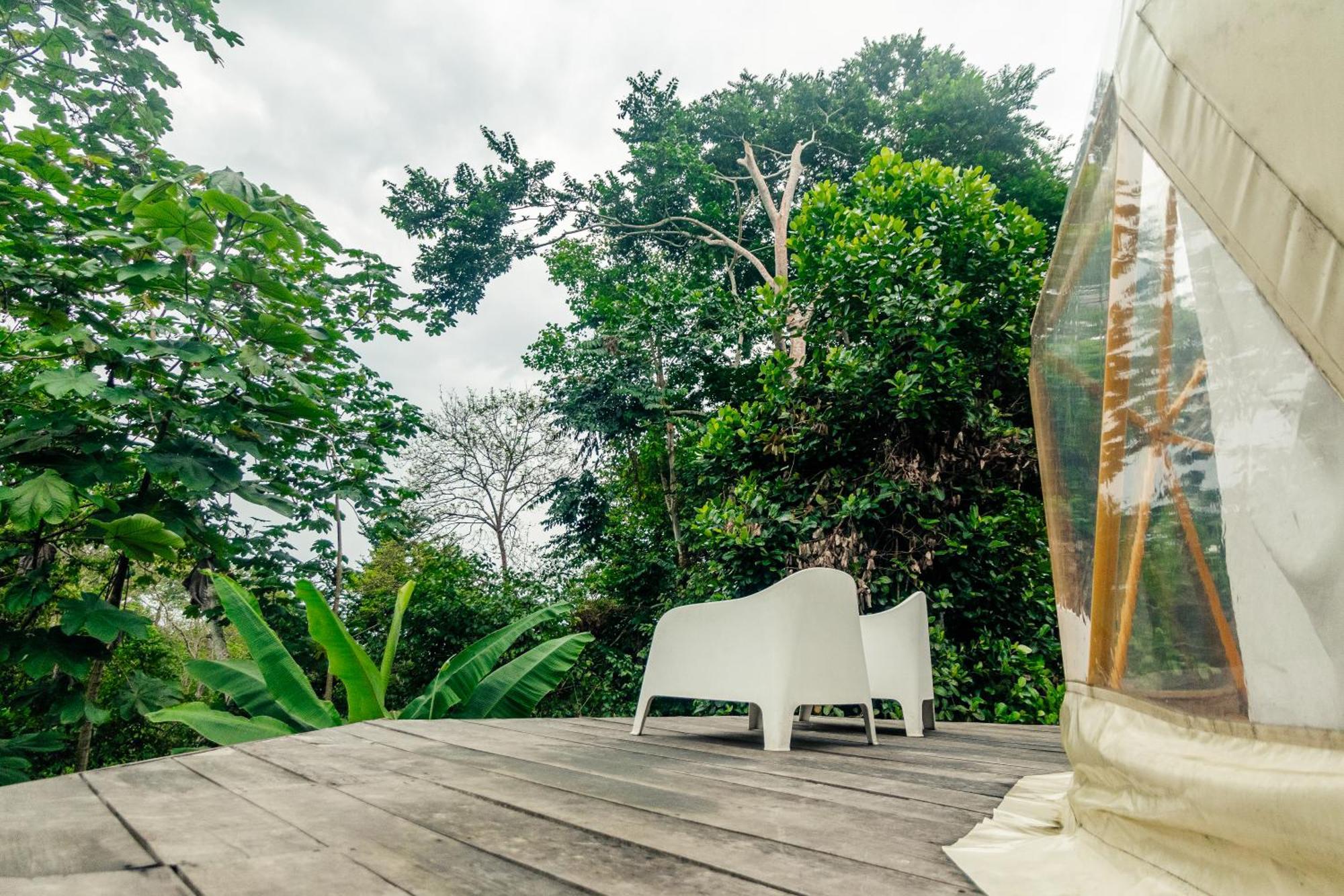 Eden Valley Ecolodge And Farming Madalena Экстерьер фото